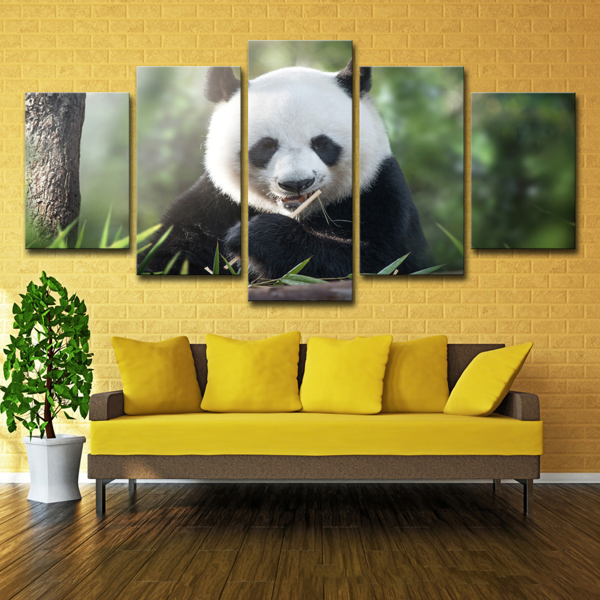 Adorable Panda Canvas Art
